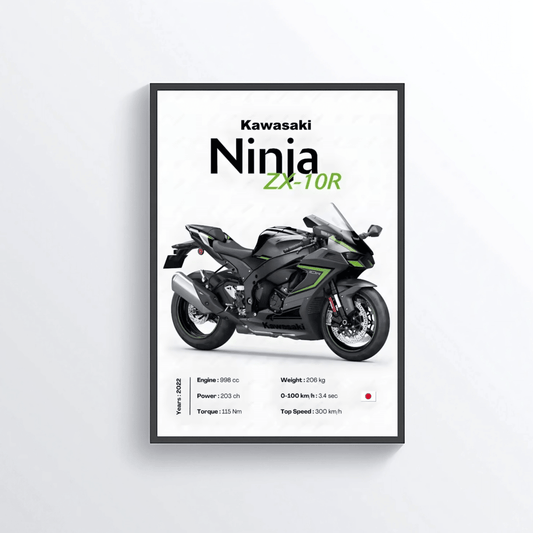 Kawasaki Ninja ZX-10R
