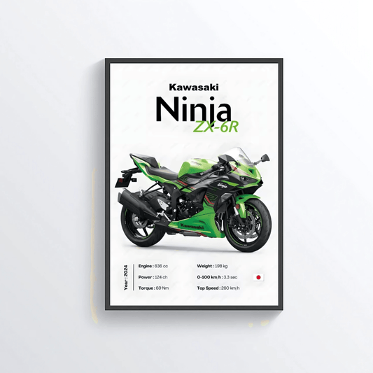 Kawasaki Ninja ZX-6R