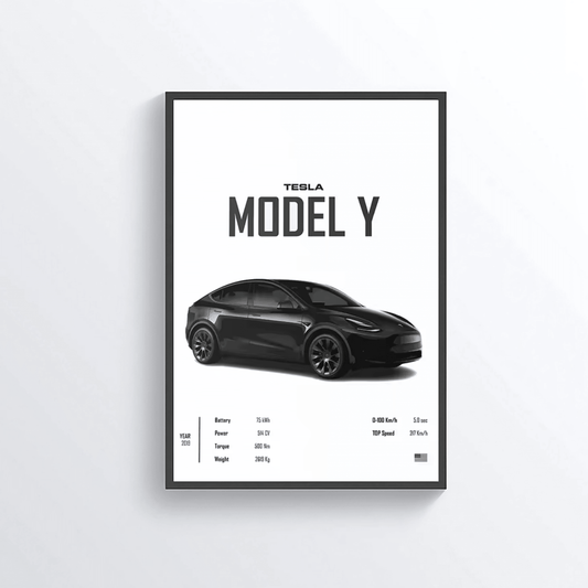 Tesla Model Y colored