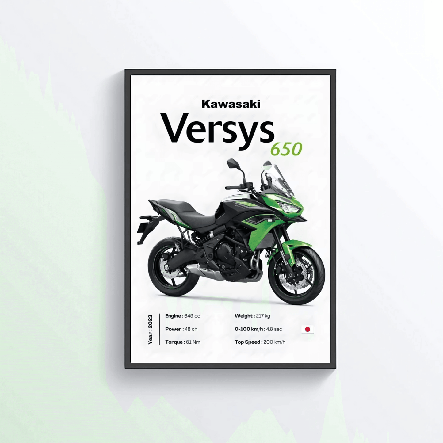 Kawasaki Versys 650