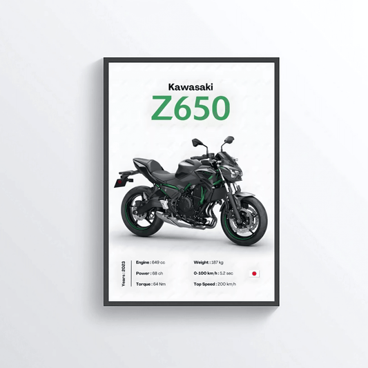 Kawasaki Z650
